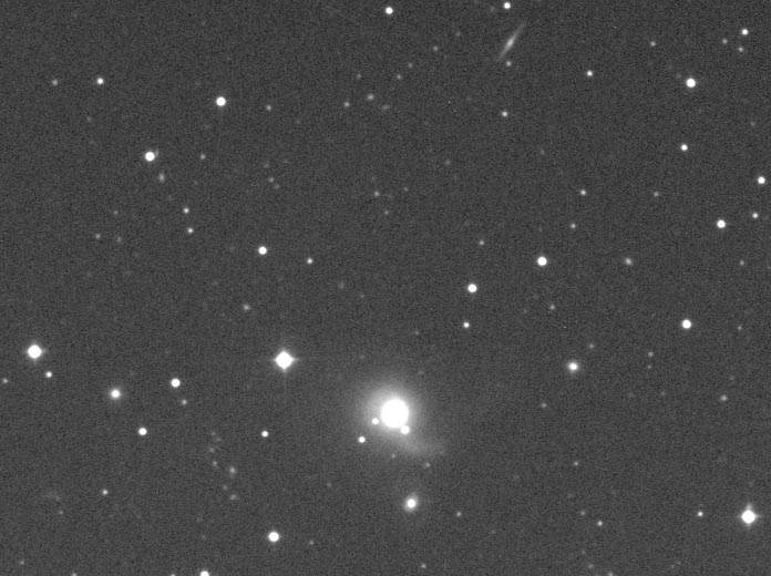 NGC5614 & Companions