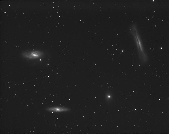 M65,M66 & NGC3628