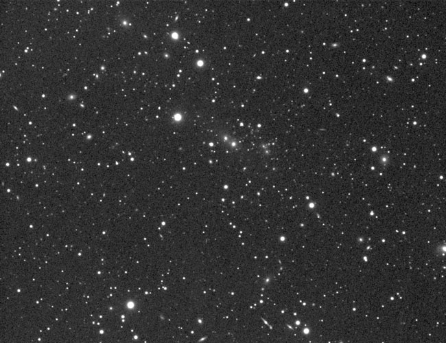 Galaxy Cluster in Hercules