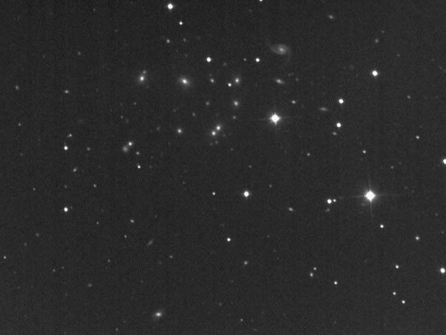 Abell 1213 Galaxy Cluster in Ursa Major