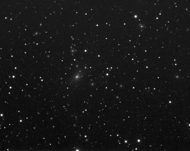 Galaxy Cluster in Hercules