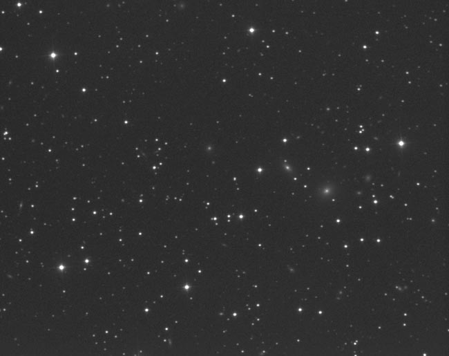 Abell 569 Galaxy Cluster in Lynx