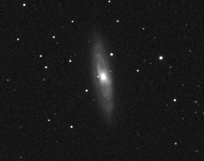 M65, a spiral galaxy in Leo