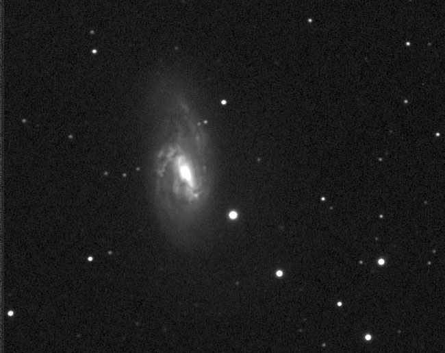 M66, a spiral galaxy in Leo