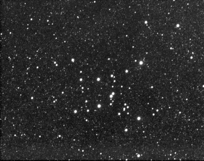 M7 Open Cluster in Scorpius