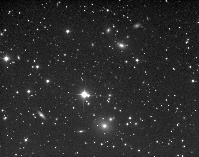 NGC507 Group